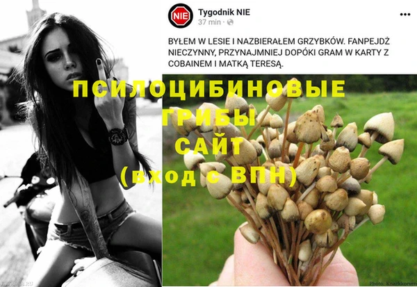 MDMA Premium VHQ Белокуриха