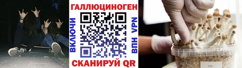 OMG зеркало  Полесск  Псилоцибиновые грибы Psilocybine cubensis  мориарти клад  где найти  